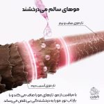 نرم‌کننده درخشان‌کننده مو گلیکولیک گلاس لورآل حجم ۱۵۰ میلی‌لیتر