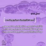 کرم شب پرکننده و ضد چروک لورآل رویتالیفت فیلر