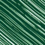 loreal-voluminous-orginal-green-volume-building-mascara1