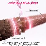 شامپو مراقبتی و براق کننده موی السیو ،حاوی گلایکولیک اسید و بدون سولفات